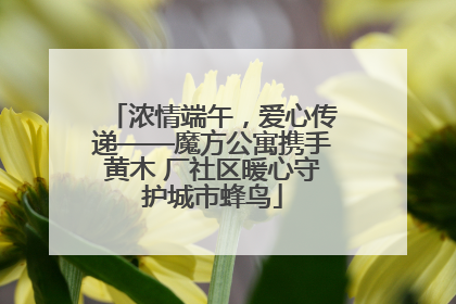 浓情端午，爱心传递——魔方公寓携手黄木 厂社区暖心守护城市蜂鸟