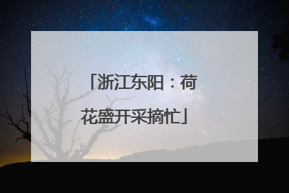 浙江东阳：荷花盛开采摘忙