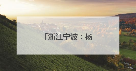 浙江宁波：杨梅挂枝引客来