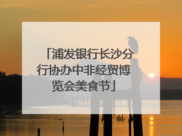 浦发银行长沙分行协办中非经贸博览会美食节