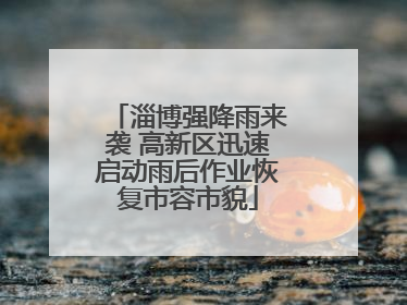淄博强降雨来袭 高新区迅速启动雨后作业恢复市容市貌