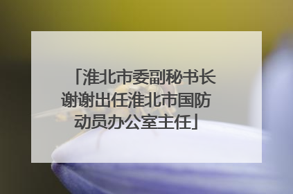 淮北市委副秘书长谢谢出任淮北市国防动员办公室主任