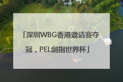 深圳WBG香港邀请赛夺冠，PEL剑指世界杯
