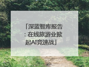深蓝智库报告：在线旅游业掀起AI竞速战