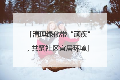 清理绿化带“顽疾”，共筑社区宜居环境