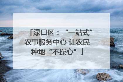 渌口区：“一站式”农事服务中心 让农民种地“不操心”