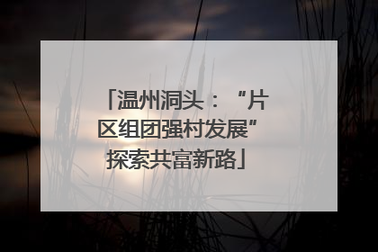 温州洞头：“片区组团强村发展”探索共富新路