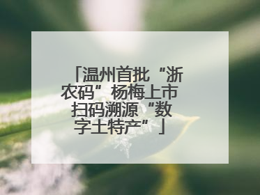 温州首批“浙农码”杨梅上市 扫码溯源“数字土特产”
