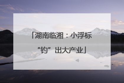 湖南临湘：小浮标“钓”出大产业