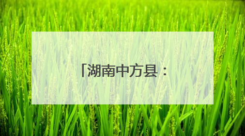 湖南中方县：金银花开“金银”来 特色产业赋能乡村振兴