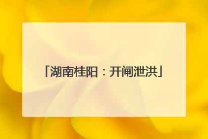 湖南桂阳：开闸泄洪