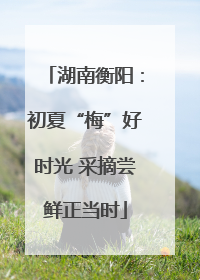 湖南衡阳：初夏“梅”好时光 采摘尝鲜正当时