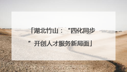 湖北竹山：“四化同步”开创人才服务新局面