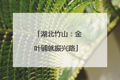 湖北竹山：金叶铺就振兴路