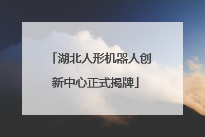 湖北人形机器人创新中心正式揭牌