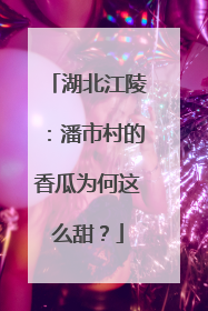 湖北江陵：潘市村的香瓜为何这么甜？