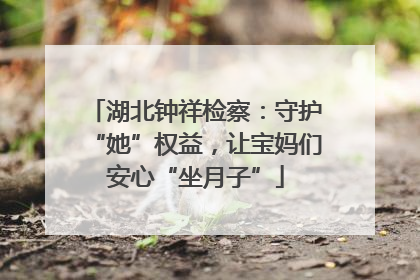 湖北钟祥检察：守护“她”权益，让宝妈们安心“坐月子”