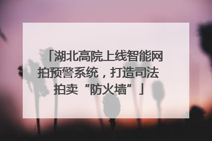 湖北高院上线智能网拍预警系统，打造司法拍卖“防火墙”