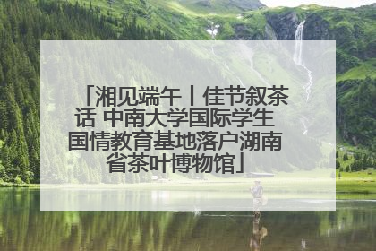 湘见端午丨佳节叙茶话 中南大学国际学生国情教育基地落户湖南省茶叶博物馆