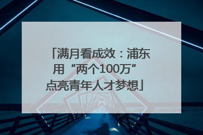 满月看成效：浦东用“两个100万”点亮青年人才梦想