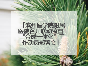 滨州医学院附属医院召开联动监督“合成一体化”工作动员部署会
