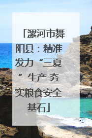 漯河市舞阳县：精准发力“三夏”生产 夯实粮食安全基石