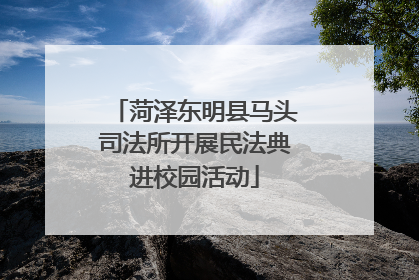 菏泽东明县马头司法所开展民法典进校园活动