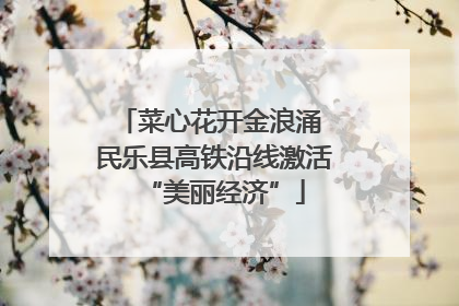 菜心花开金浪涌 民乐县高铁沿线激活“美丽经济”