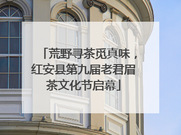 荒野寻茶觅真味，红安县第九届老君眉茶文化节启幕