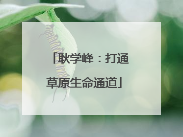 耿学峰：打通草原生命通道