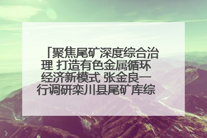 聚焦尾矿深度综合治理 打造有色金属循环经济新模式 张金良一行调研栾川县尾矿库综合治理工作
