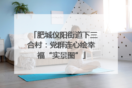 肥城仪阳街道下三合村：党群连心绘幸福“实景图”