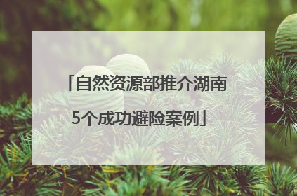 自然资源部推介湖南5个成功避险案例