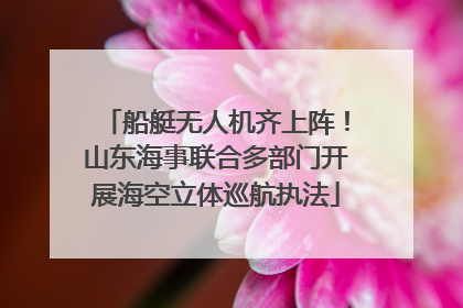 船艇无人机齐上阵！山东海事联合多部门开展海空立体巡航执法