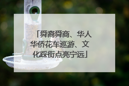 舜裔舜商、华人华侨花车巡游、文化踩街点亮宁远