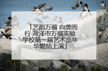 艺韵万福 向美而行 菏泽市万福实验学校第一届艺术嘉年华燃情上演