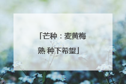 芒种：麦黄梅熟 种下希望