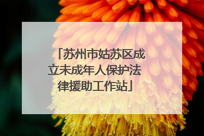 苏州市姑苏区成立未成年人保护法律援助工作站