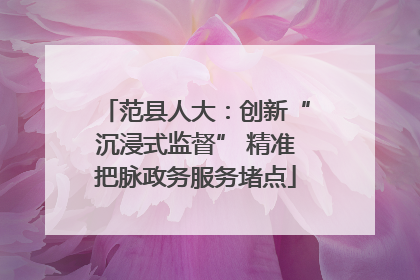 范县人大：创新“沉浸式监督” 精准把脉政务服务堵点