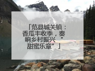 范县城关镇：香瓜丰收季，奏响乡村振兴 “甜蜜乐章”