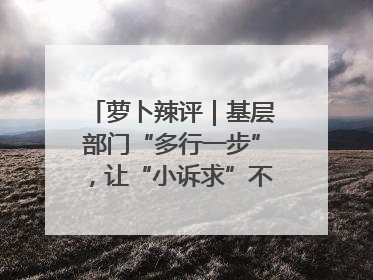 萝卜辣评｜基层部门“多行一步”，让“小诉求”不缺席法治守护