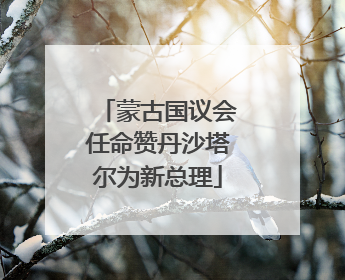 蒙古国议会任命赞丹沙塔尔为新总理