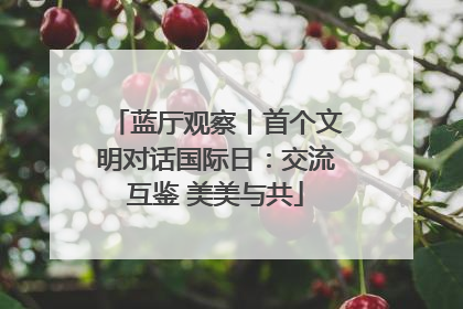 蓝厅观察丨首个文明对话国际日：交流互鉴 美美与共