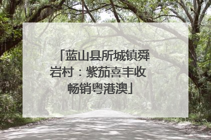 蓝山县所城镇舜岩村：紫茄喜丰收 畅销粤港澳