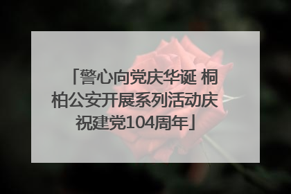 警心向党庆华诞 桐柏公安开展系列活动庆祝建党104周年