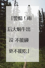 警惕！雨后大蜗牛出没 不能碰更不能吃