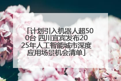 计划引入机器人超500台 四川宜宾发布2025年人工智能城市深度应用场景机会清单