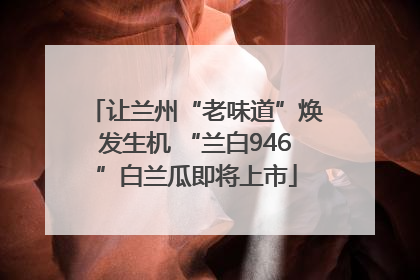 让兰州“老味道”焕发生机 “兰白946”白兰瓜即将上市