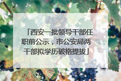 西安一批领导干部任职前公示，市公安局两干部拟学历破格提拔