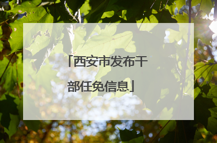 西安市发布干部任免信息